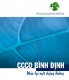 Brochure: Văn phòng Điều phối về Biến đổi khí hậu tỉnh Bình Định (CCCO Bình Định)