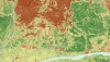 Bản đồ Online về trữ lượng Cacbon rừng mưa trên toàn cầu