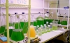 Nhiên liệu sinh học từ sinh khối vi tảo biển